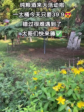 #口粮酒 #纯粮酒 #超便宜超划算 #白酒推荐 #好酒推荐