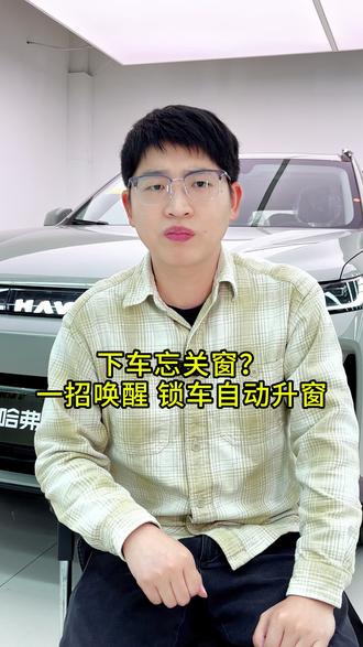 下车忘关窗?一招唤醒锁车自动升窗#长城汽车 #哈弗汽车