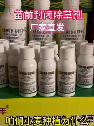 小麦苗前除草剂,安全高效又省心#除草剂 #苗前封闭除草剂 #农业种植