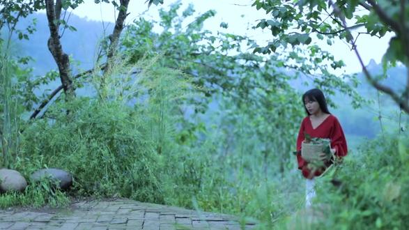 其实柒姐闭关创作真的很正常 #李子柒 #李子柒闭关 #沉淀 #非遗传承
