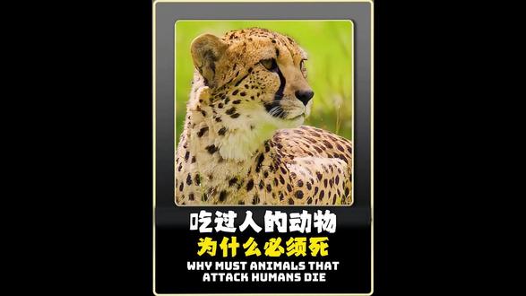 吃过人的动物为啥必须死?真不是人记仇! #动物世界 #冷知识 #万万没想到 #涨知识