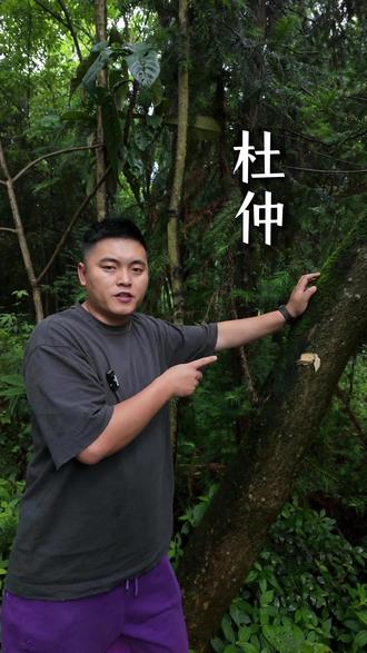 你们知道他吗?#植物科普