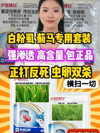#白粉虱 #蓟马 #蚜虫 #病虫害防治用药方案 #白粉虱的防治方法