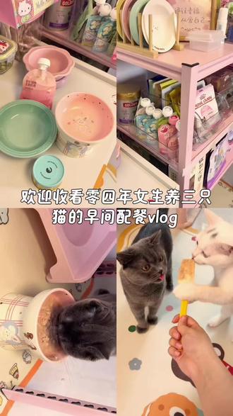 Vlog46 472/488🎁 |早间配餐来啦~#vlog十亿流量扶持计划 #猫咪配餐vlog #养猫日常vlog #喵喵日记