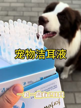 人宠都要健康,植物精粹无刺激性除臭止痒远离耳螨#耳螨清洁 #耳螨处理 #耳螨滴耳液 #萌宠好物 #猫狗滴耳液