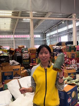 看着不好看,吃着香吃着甜种在我们新疆沙漠里的丑南瓜#优质农产品 #农产品 #源头好货 #南瓜 #新疆直发