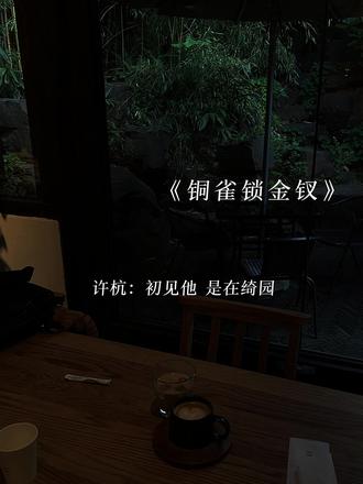 好美的声音~#铜雀锁金钗#广播剧#漫播
