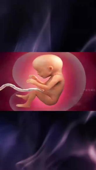 胎宝宝在孕妈肚子里是怎么排泄的 #胎儿发育 #胎儿 #孕育