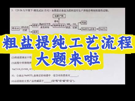 2026中考化学冲刺大题—每日一题(二十六) 记得横屏观看哦#涨知识 #学习 #分享 #中考 #化学