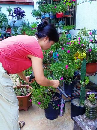 #上热门 在繁忙的生活中,养花是治愈心灵的良药。#分享家庭养花知识 #养花人的乐趣