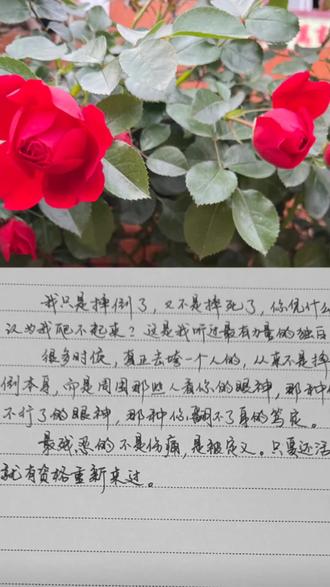 我只是摔倒了,不是摔死了,你凭什么觉得我爬不起来了?#我只是摔倒了 #静心手写 #人间清醒 #生活心语#励志文案