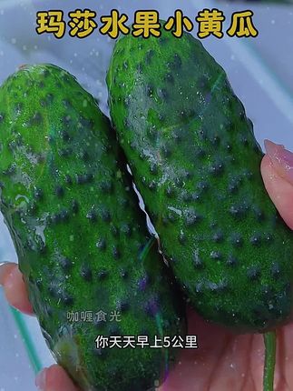 像海参一样的 #玛莎水果小黄瓜 巨清香脆甜、管理期每天晚上来两根,营养又丰富!跟小时候园子里的黄瓜一个味道!#水果 #水果黄瓜#口感特别好 #优质农产品 - 抖音