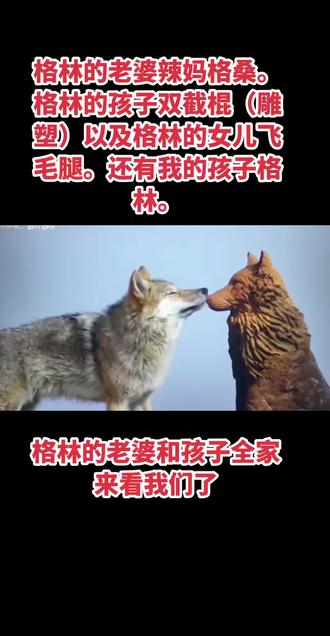 格林来看妈妈了