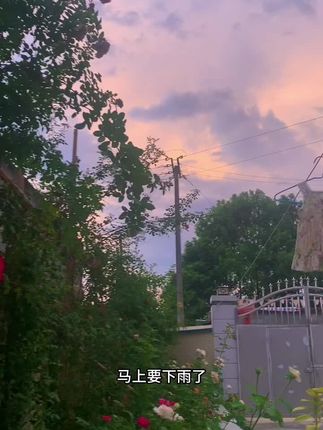 说夏天不能施肥的,烧苗的麻烦让开,因为我马上又要给我小苗施肥了,从第一次顶部发芽施肥,到现在半个月的时间底部也开始冒笋了,说明这段时间月季一直在生长,开花(花苞我给掐了)那为什么不可以施肥,你把量控制好就行,除了冬季休眠后不给肥,我的肥一直不会停#养花小知识 #月季 #养花人的乐趣