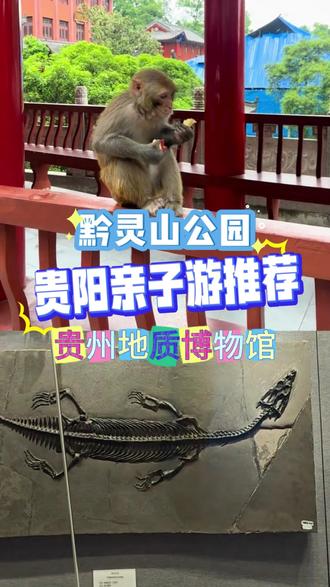 贵阳亲子游,超推荐的两个遛娃圣地 #贵阳亲子旅游地 #贵阳带孩子去哪里旅游比较好 #贵阳带小孩适合去哪里 #贵阳亲子打卡 #贵阳暑假去哪里玩