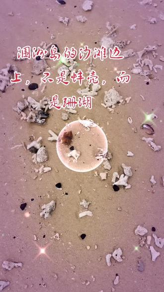 涠洲岛是一个新的火山位于广西壮族自治区北海市涠洲镇,涠洲岛位于广西壮族自治区北海市涠洲镇,占地面积为24.74平方千米,在北海市的南部,雷州半岛西边。涠洲岛属于亚热带季风性气候,是中国目前地质年龄最年轻的火山岛,鸟类资源尤为丰富。涠洲岛是火山喷发堆凝而成的岛屿,有海蚀、海积及溶岩等景观,有“蓬莱岛”之称,是中国地质年龄最年轻的火山岛,也是广西最大的海岛。
#海边随拍 #我的旅行日记
