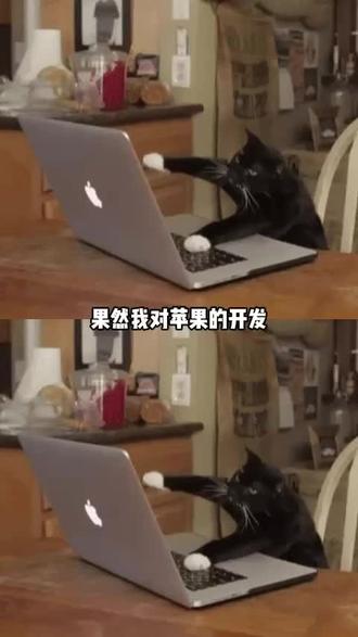 没发现苹果的这个功能前,我简直在乱减肥
#苹果手机#万万没想到#冷知识#快捷指令#ios