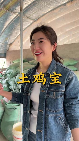 土鸡宝用了五天看到了变化#土鸡宝 #散养鸡 #土鸡 #散养土鸡 #养鸡