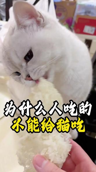 为什么人吃的不能给猫吃 #养宠攻略指南 #养猫经验分享 #科学养宠攻略 #养猫知识