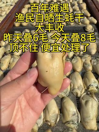 生蚝干海蛎干#海味干货 #生蚝 #海鲜美食 #好吃到停不下来 #快来一起尝个鲜