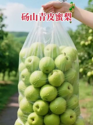 砀山青皮蜜梨#超便宜超划算 家人们,这个来自安徽砀山的青皮蜜梨,个头不大,味道超赞!一口咬下去又脆又甜,满嘴都是果汁,#好吃到停不下来 皮很薄,肉质细腻无渣,老人小孩都能放心吃。喜欢吃的家人们赶快来尝尝吧!#砀山青皮蜜梨 #水果 #优质农产品