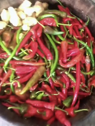 农家手工腌青红辣椒片。手工切的有片状的有丝的#下饭菜 #家乡特色 #分享家乡美食 #下饭神器 #小时候味道
