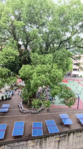 《灌阳一小安全演练现场》 直击灌阳县直属机关第一小学安全演练现场!常态化安全演练,增强师生避险自救能力,为校园安全保驾护航。#灌阳教育 #校园安全 #应急演练 #灌阳一小