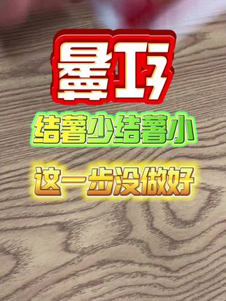 #红薯种植 #红薯种植技术 #红薯控旺 #红薯高产 #增产增收