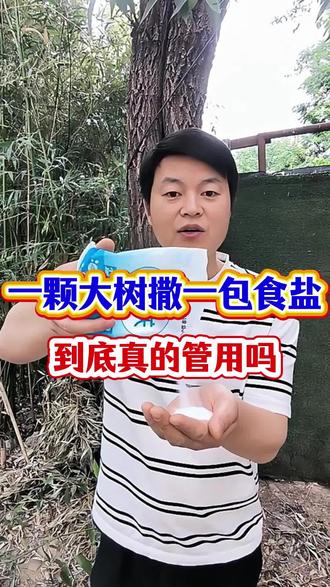 一颗大树一包盐,到底真的管用吗#除树烂根 #开荒保洁 #除大树 #环嗪酮除大树竹子灌木杂草 #开荒