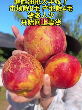 #离核桃 #麻脸油桃#新鲜采摘 #优质农产品 #超便宜超划算
