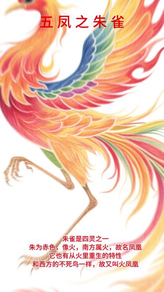 五凤传说│彩铅 凤凰和龙同为中华民族的精神文明象征。自秦汉以来,龙逐渐成为帝王的象征,帝后妃嫔们开始称凤比凰,凤凰的形象逐渐雌雄不分,整体被“雌”化,而且还让人联想到龙凤才是一对!岂不知龙和凤本是两个完全不同的物种!
凤凰种类繁多,因种类的不同其象征也不同。传说中最有名的便是五凤:赤色的朱雀、青色的青鸾、黄色的鹓鶵(yuānchú)、白色的鸿鹄和紫色的鸑鷟(yuèzhuó)。
资料来源于网络。#ai原创作品#民间故事#国风#传统文化#五凤
