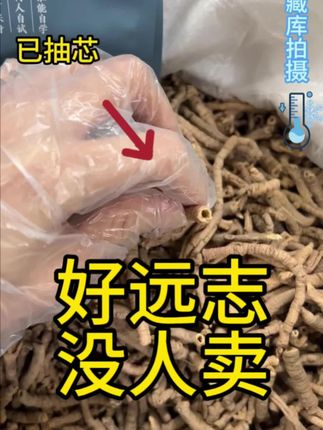 好远志没人卖 #健康#滋补#养生#倪海厦#伤寒论@王大皮本草 @王大皮本草-小铺