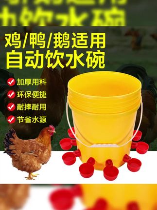 #自动饮水器 #自动饮水器养鸡鸭鹅 #自动饮水器宠物 #自动饮水器水满自动停 #自动饮水器喂食器