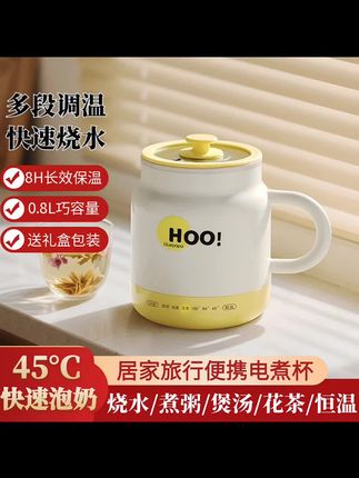多功能养生杯便携办公室一人煮茶器热奶杯家用小型电炖杯养生壶
