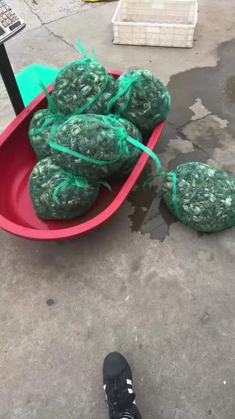 正宗本港小螃蜞,要的来门市购买!