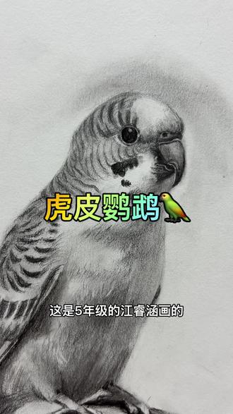 妈妈不让养鹦鹉🦜 我画一个可以吧#鹦鹉#可艺美术#龙江学画画