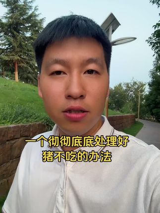 #猪不吃食 #猪不吃料 #猪不吃料怎么办 #养猪人