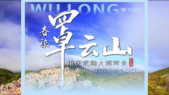 春染罩云山,千年杜鹃开, 五一去武隆罩云山欣赏跨越千年的花海秘境。#武隆旅游#杜鹃花#罩云山景区