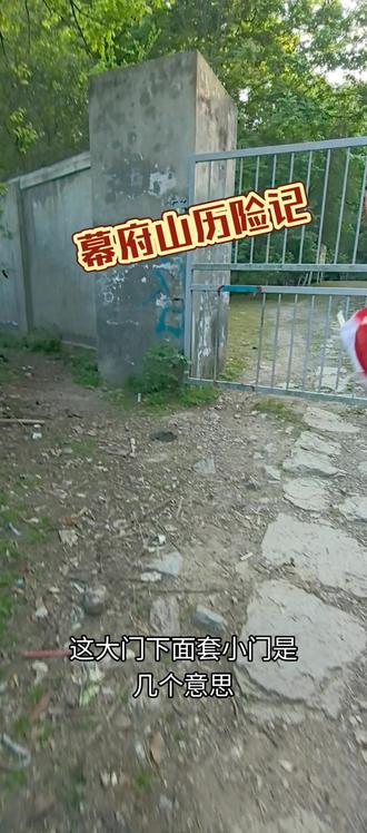 幕府山野道挑战 #幕府山野道入口 #幕府山野道攻略 #你们上班吧我上山了 #城野两栖 #南京亲子户外徒步
