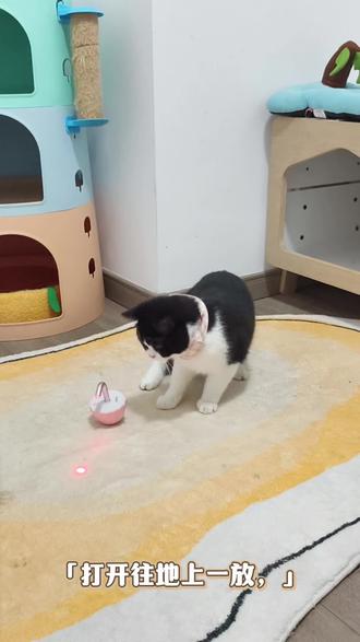 家里的猫玩具扔了又扔,只有这个玩具的电是充了又充 #猫玩具 #猫玩具推荐 #电动逗猫玩具#养猫新手 #猫咪自嗨玩具