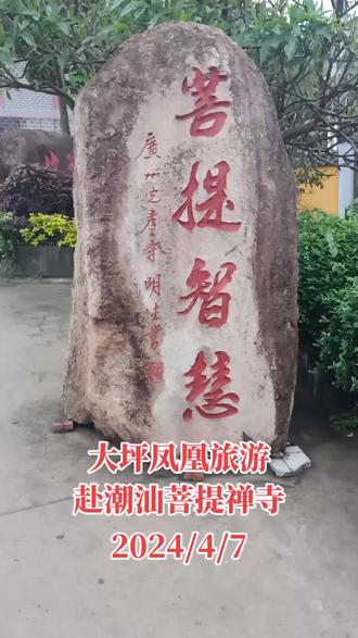 大坪凤凰旅游赴潮汕菩提寺旅游#记录旅游足迹