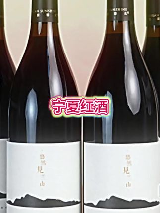 宁夏东麓酒,宁夏核心产区,原产地直供!【宁夏红酒】贺兰山东麓山海干红葡萄酒750ml*6瓶送开瓶器礼盒+醒杯#葡萄酒 #红酒 #美酒分享 #看过来