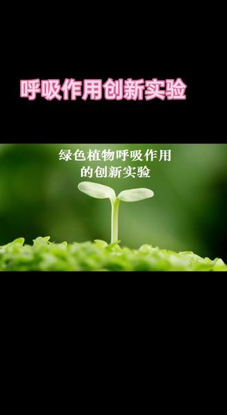 呼吸作用创新实验,欢迎提出宝贵意见!