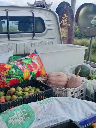 #我的乡村生活 #庆元高山锥栗 #富宇优选 #农村生活 #丰收的季节