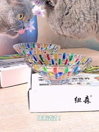 一起来吃纽森全价主食猫罐!#纽森猫罐头