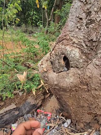 野生动物零距离