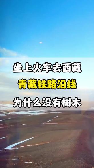 青藏铁路沿线为什么没有树木?#青藏铁路 #旅行 #高反 #大株红景天胶囊