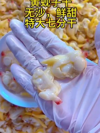 丹东东港黄蚬子干,无沙鲜甜,七分干,零食必备,新鲜晾晒蛤蜊肉去内脏鲜甜不咸七分干即食 顺丰包邮 #黄蚬子干 #黄蚬子干推荐 #蛤蜊肉 #蛤蜊肉干 #蛤蜊肉如何炒