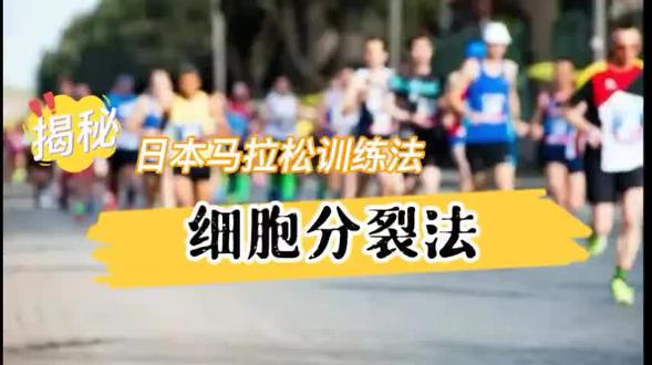 马拉松训练:细胞分裂法!