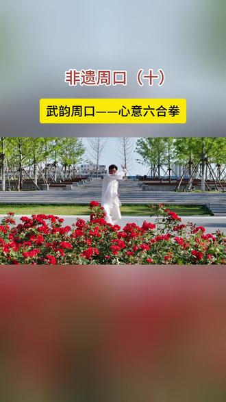 强健民族体魄 传承文化基因———心意六合拳 #周口非遗#非遗周口#心意六合拳#非遗文化传承